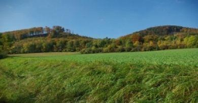 Land-Gut-Hotel Raeuber Lippoldskrug Alfeld  Dış mekan fotoğraf