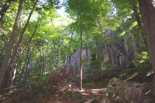 Land-Gut-Hotel Raeuber Lippoldskrug Alfeld  Dış mekan fotoğraf